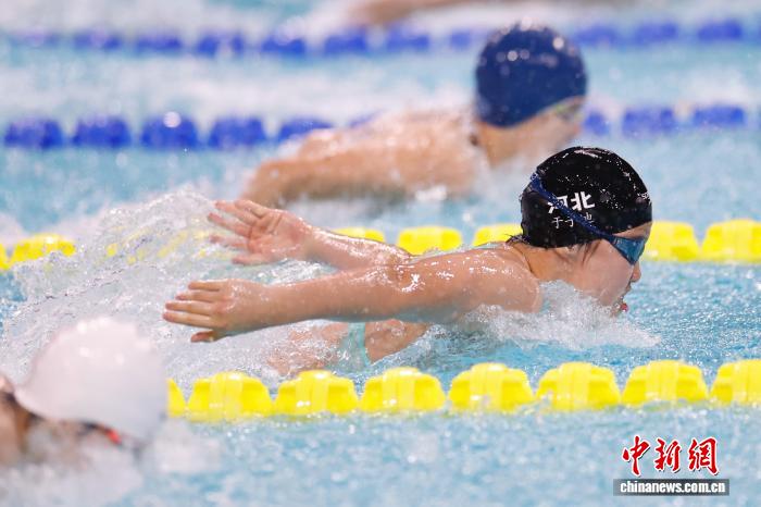 新星闪耀纪录刷新 全运游泳赛场见证中国泳坛新